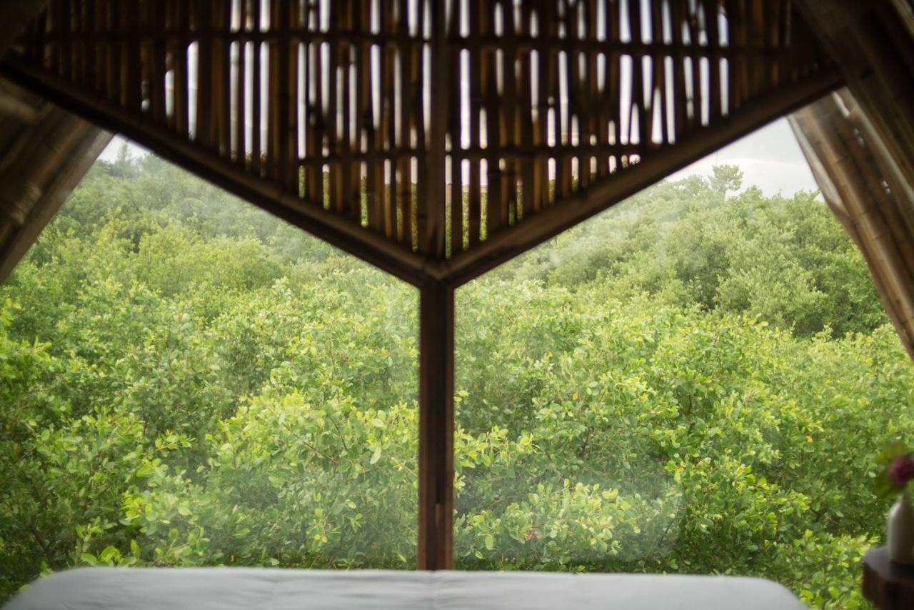Mamasan Treehouses & Cabins Tulum Ngoại thất bức ảnh