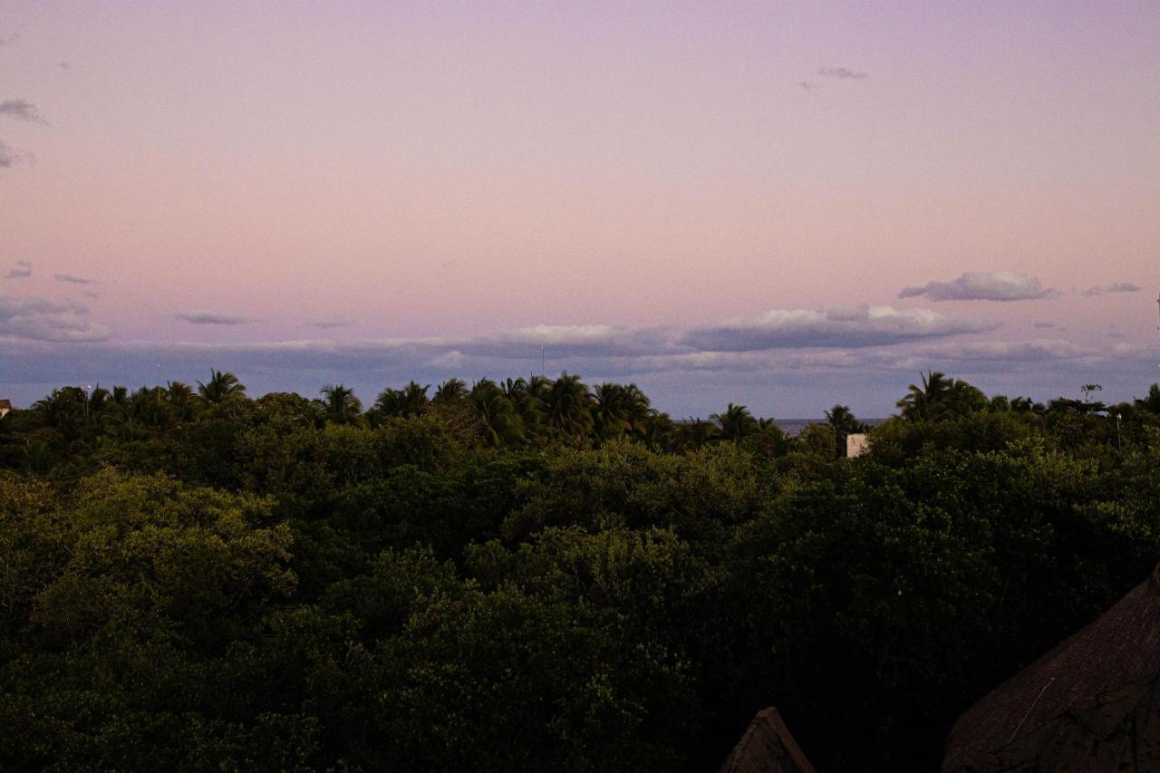 Mamasan Treehouses & Cabins Tulum Ngoại thất bức ảnh